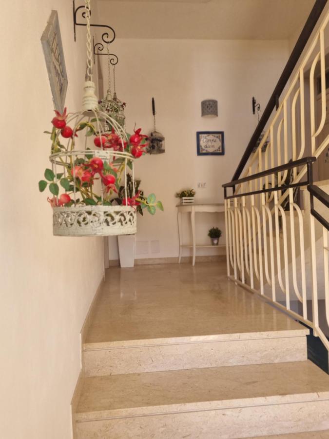 Appartamenti Stella Marina San Vito Lo Capo Eksteriør billede